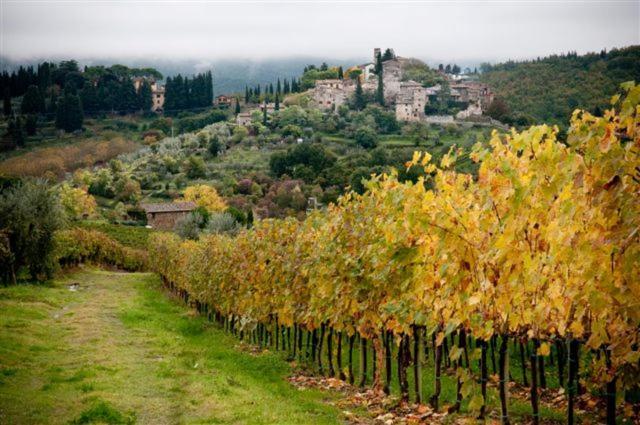 Agriturismo Podere Torre Греве ин Кианти Екстериор снимка