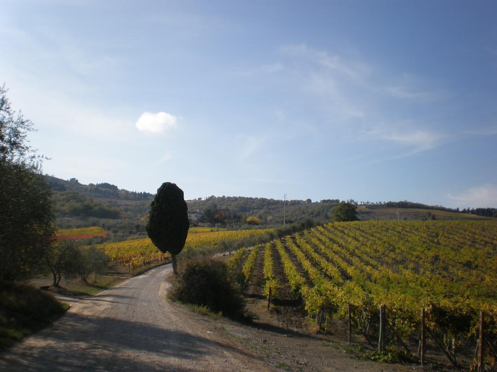 Agriturismo Podere Torre Греве ин Кианти Екстериор снимка